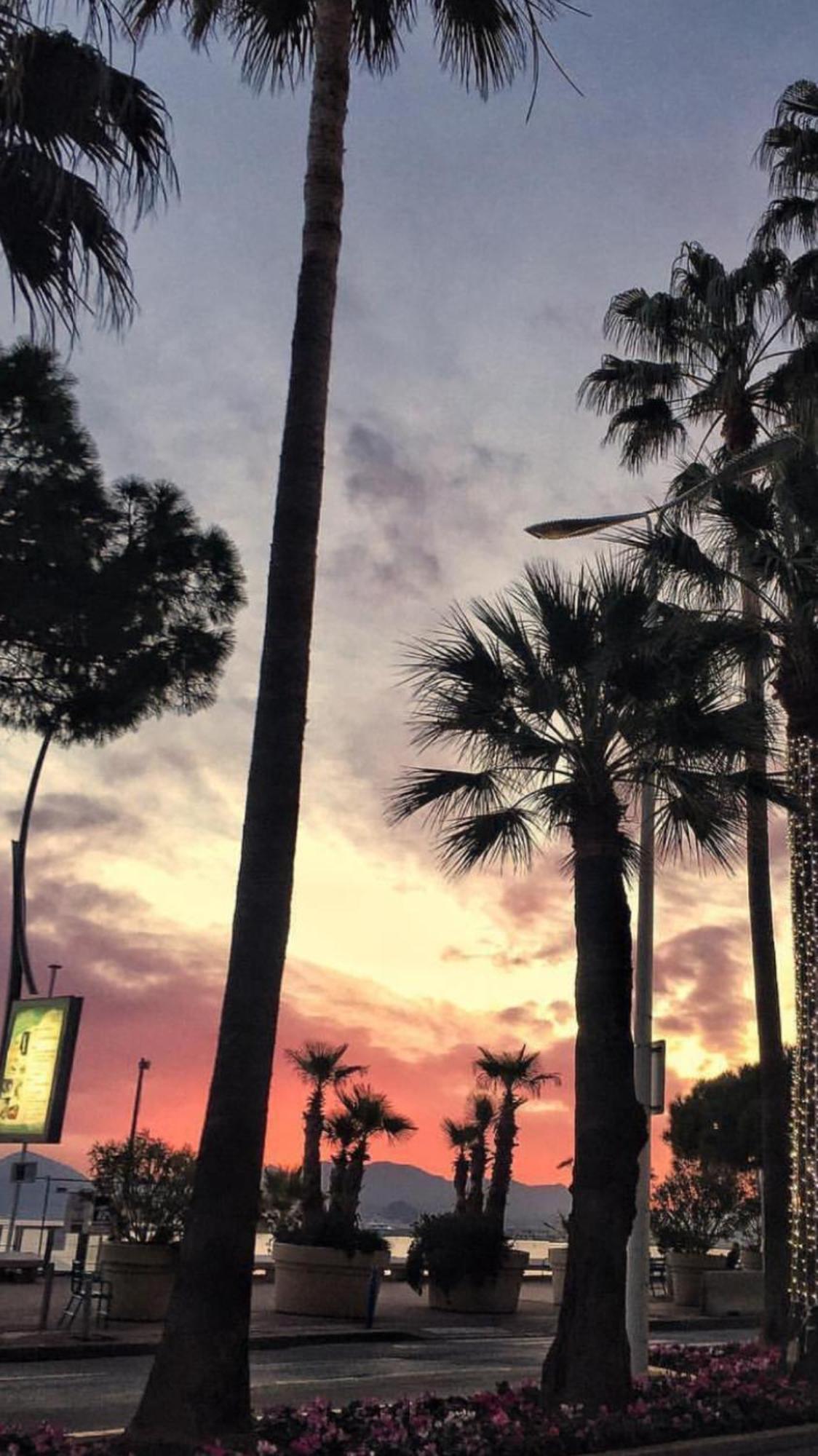 Charming Apartment 50 Mt Palais Des Festivals Cannes Exteriör bild